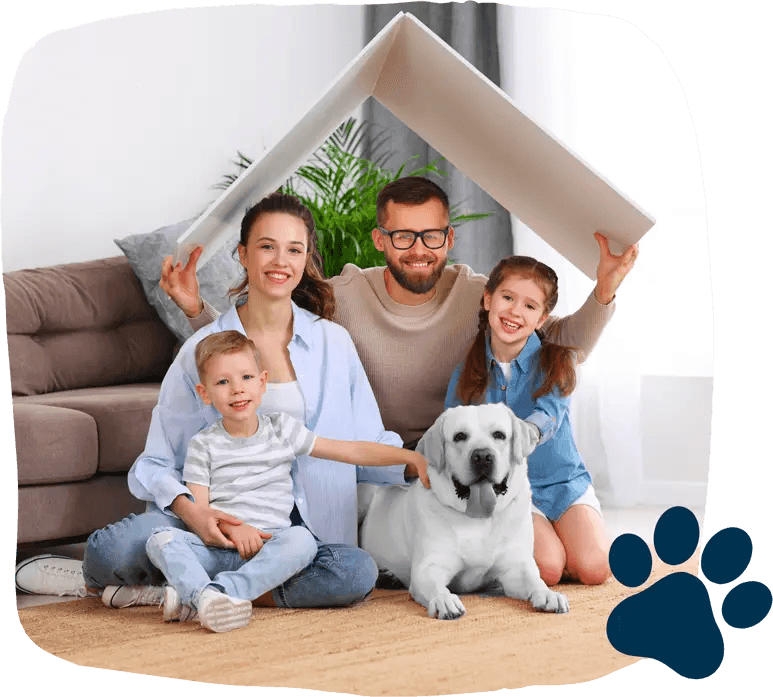 Amici a quattro zampe — memoriale digitale Watching Stars per ricordare e commemorare